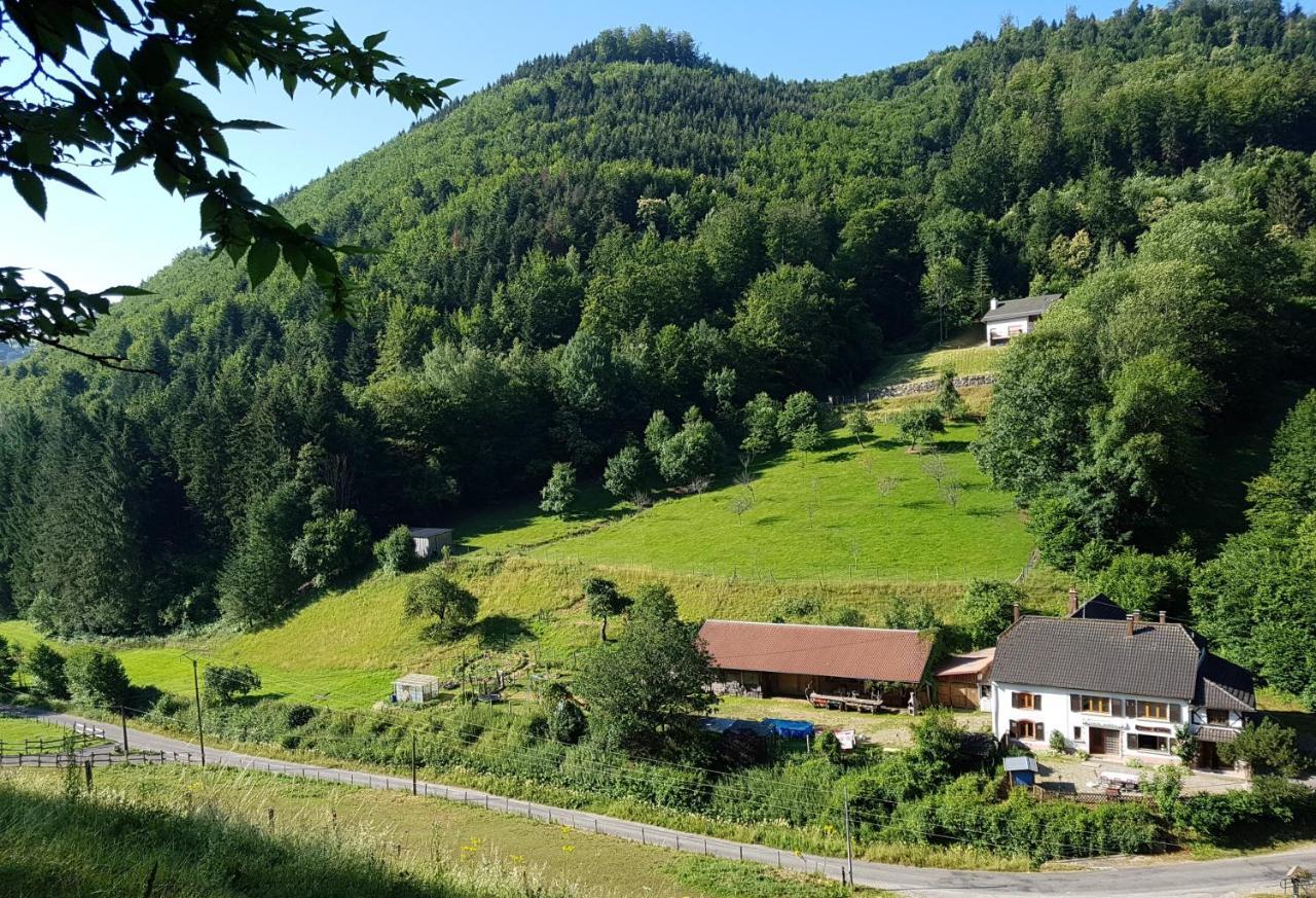 Gite Le Creux Chene Rombach-le-Franc Екстер'єр фото